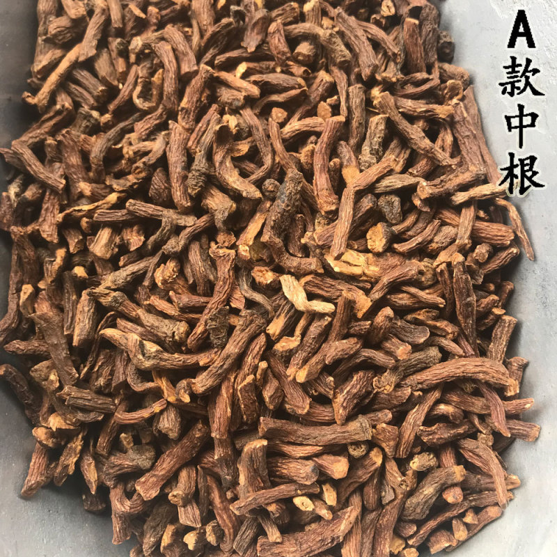 蒲公英根