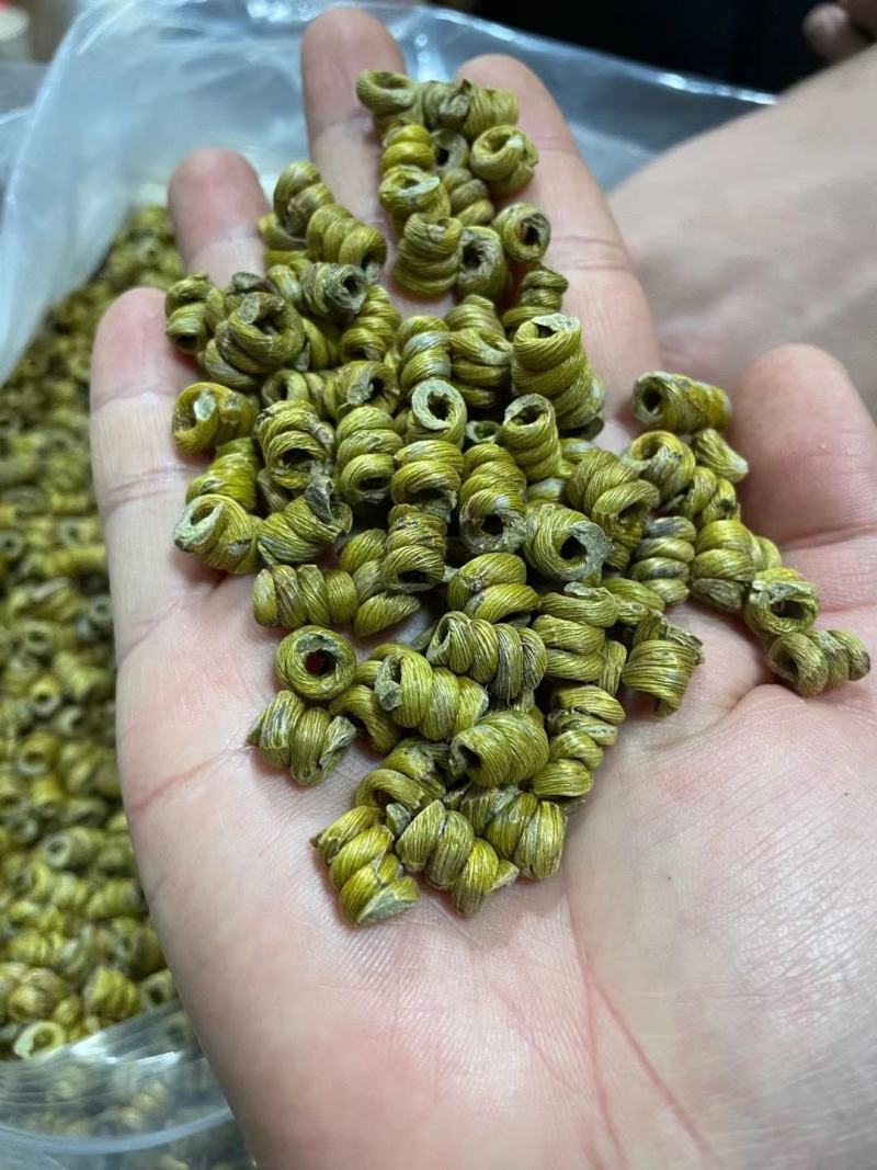 【霍山发货】道地药材霍山铁皮石斛枫斗可代客打粉包邮