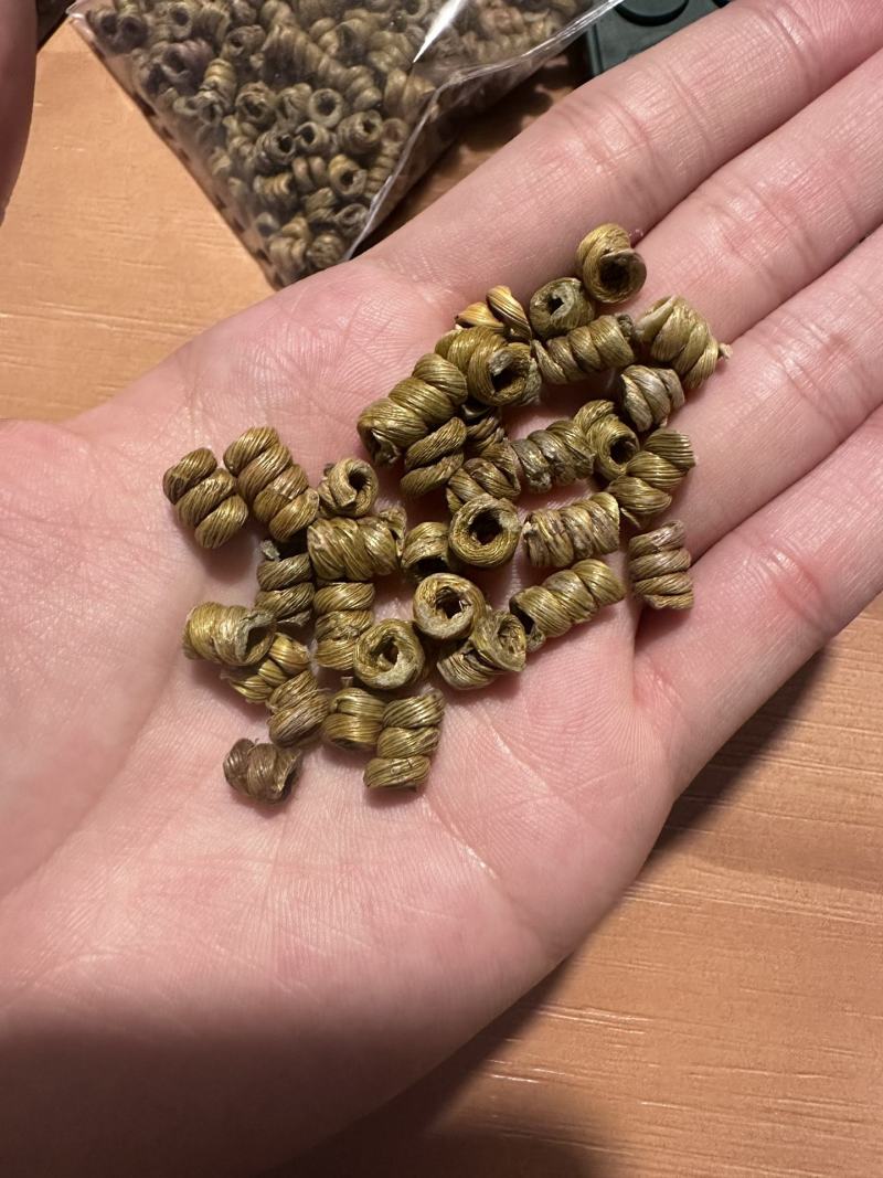 【霍山发货】道地药材霍山铁皮石斛枫斗可代客打粉包邮
