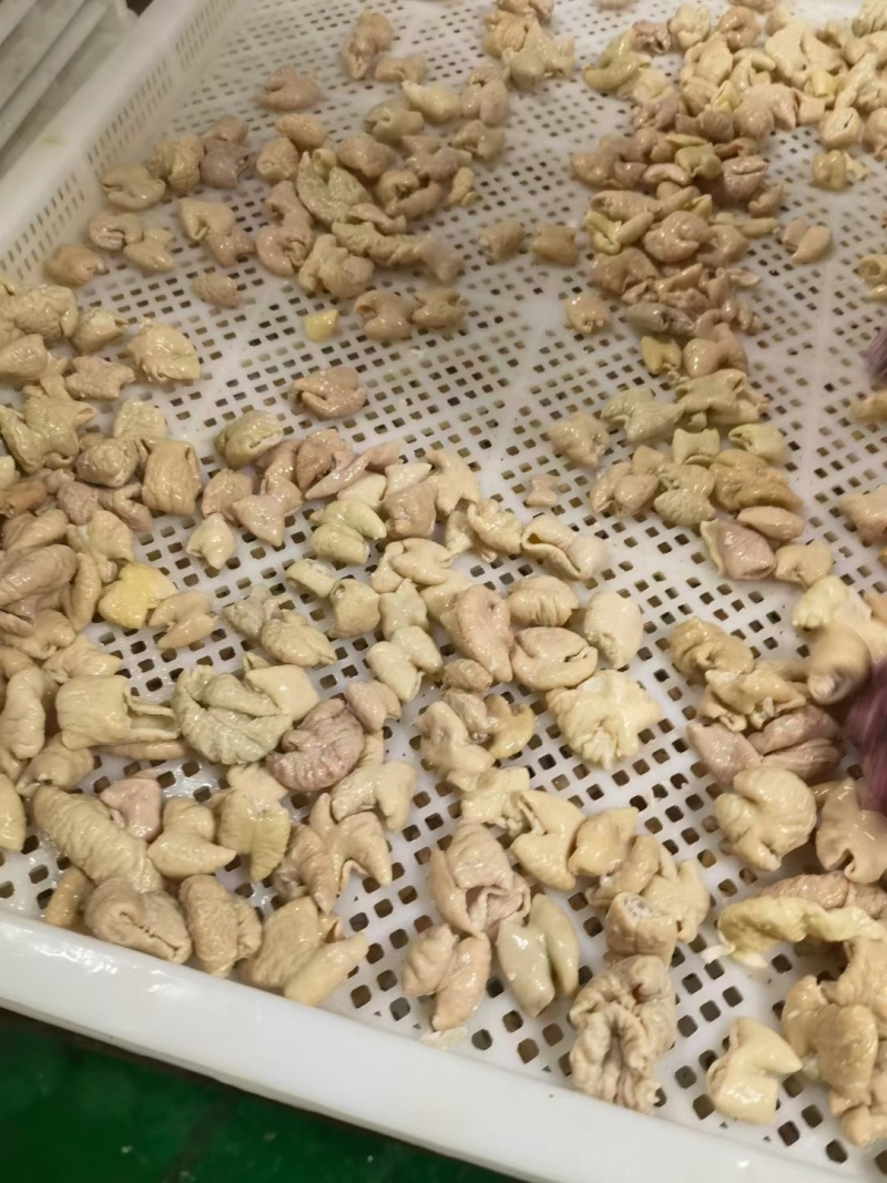 大肠段