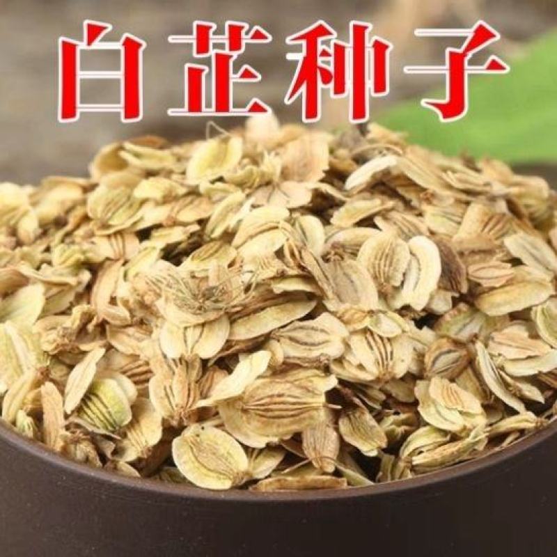 散装白芷种子药材白芷籽春秋种植发芽率高