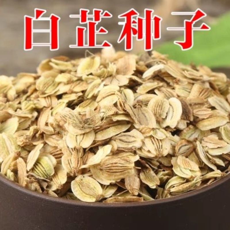 散装白芷种子药材白芷籽春秋种植发芽率高