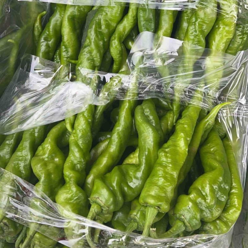 螺丝椒大量上市全年发货，货源充足，质量保证欢迎电话咨询