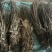 车前草野生车前草整棵无杂质一手货源批发鲜货干货