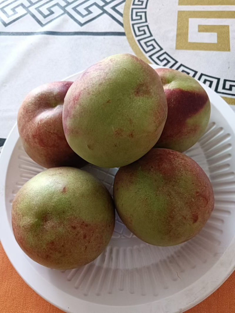 甘肃敦煌新品种玻璃脆桃子产地直发大量供应保质保量