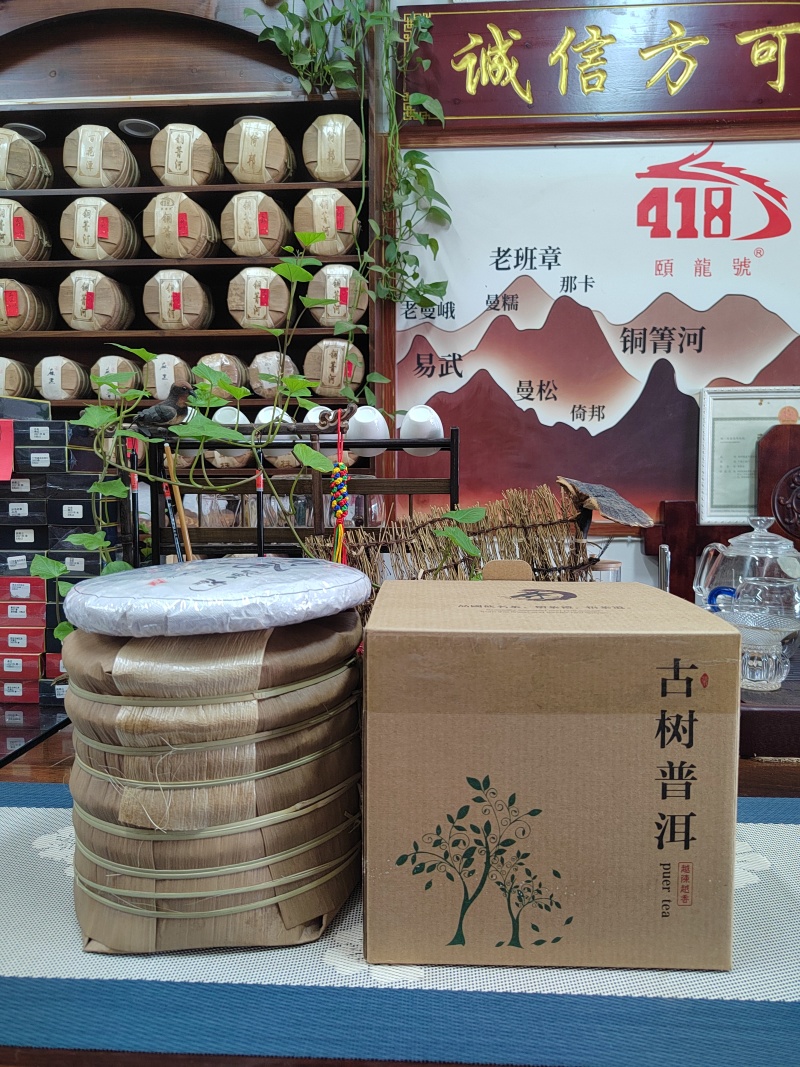 普洱茶生茶357克饼茶易武茶农自产自销2023年