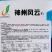 神州风云油黑长条型茄子种子黑又亮长茄种子果肉淡绿长棒形茄