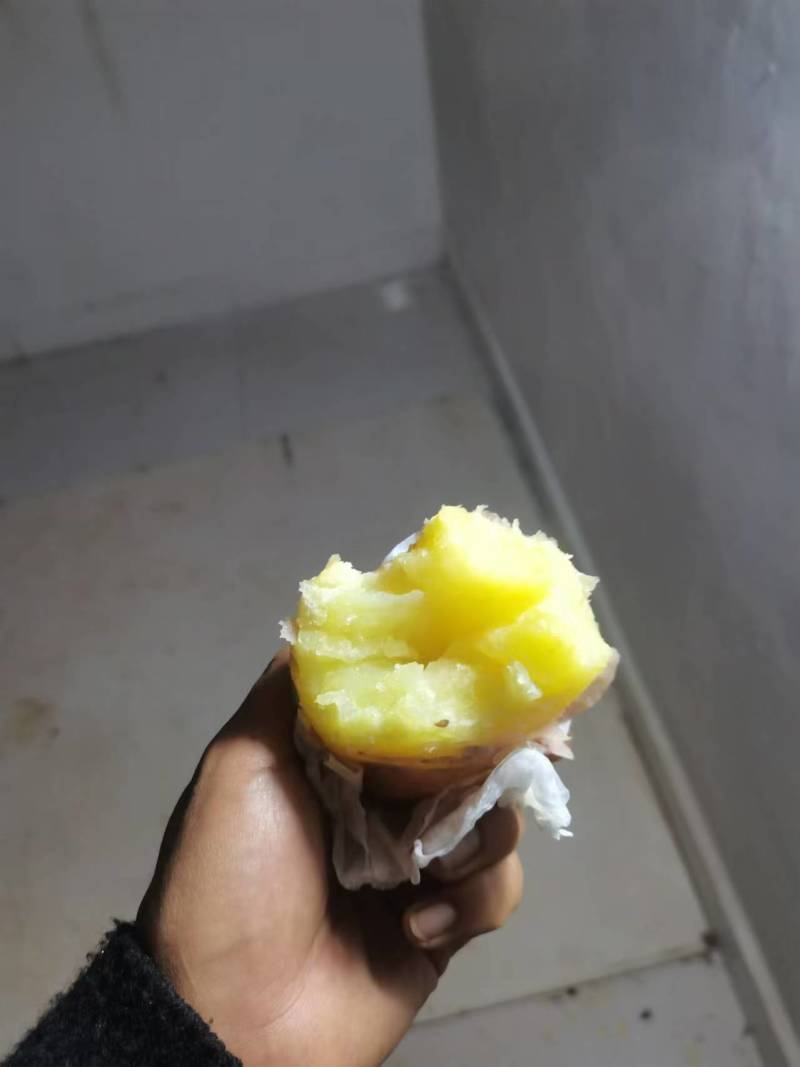 青薯9号红皮红心产地直发欢迎咨询合作品质保证