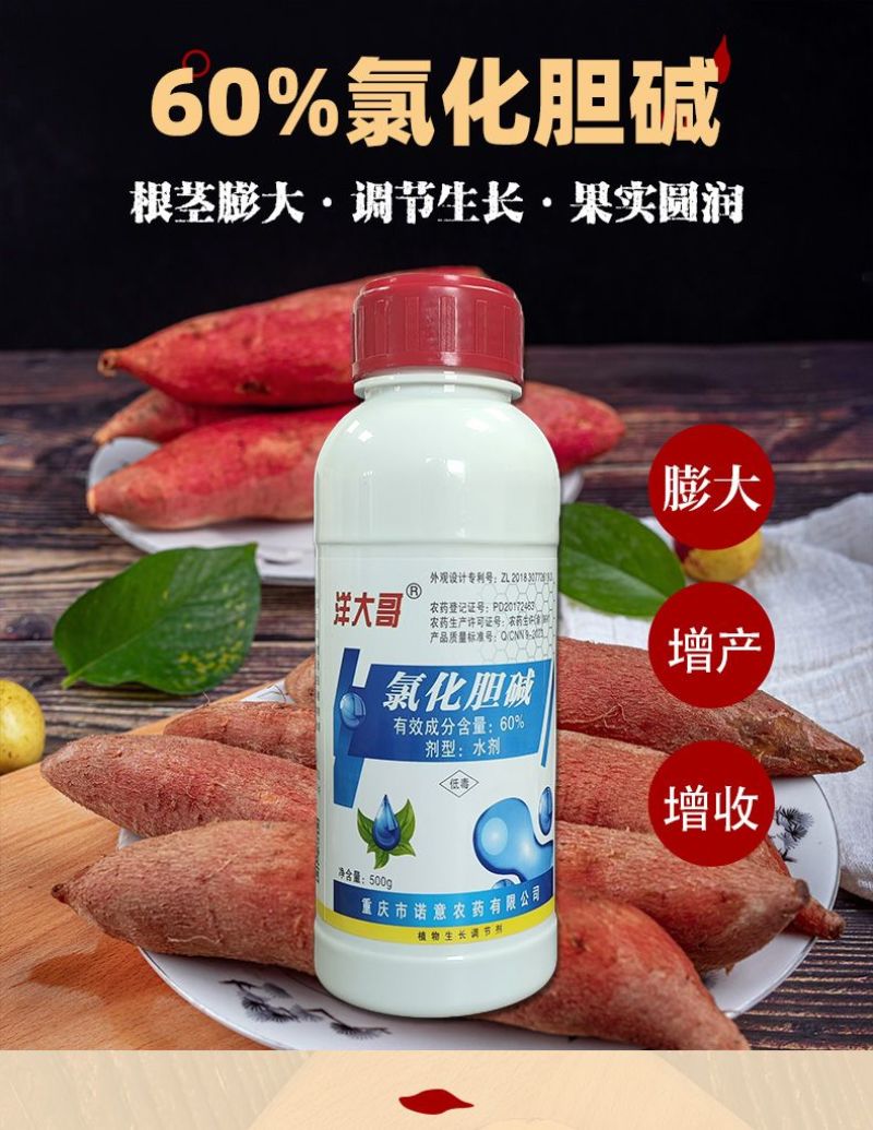 洋大哥60%氯化胆碱甘薯调节生长块茎膨大增产植物生长调节