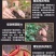 洋大哥60%氯化胆碱甘薯调节生长块茎膨大增产植物生长调节