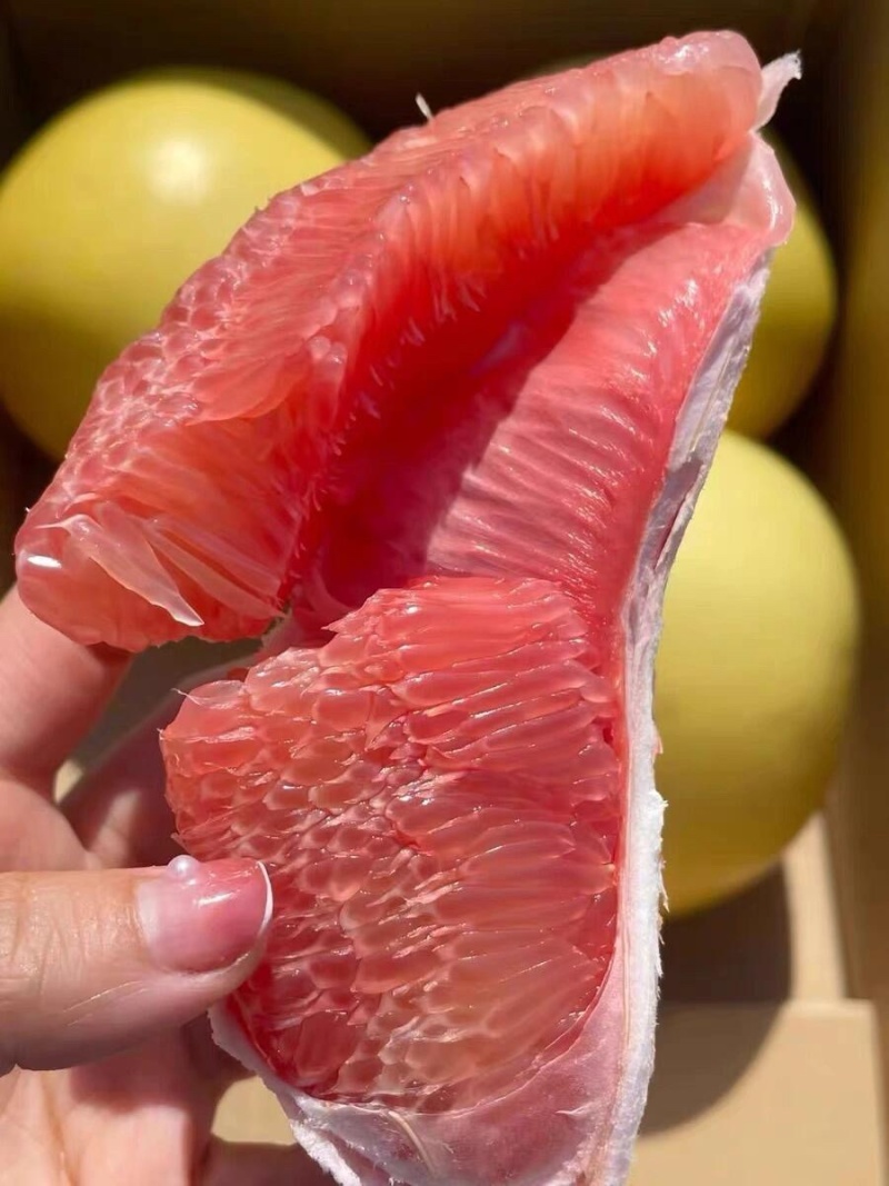 三红蜜柚