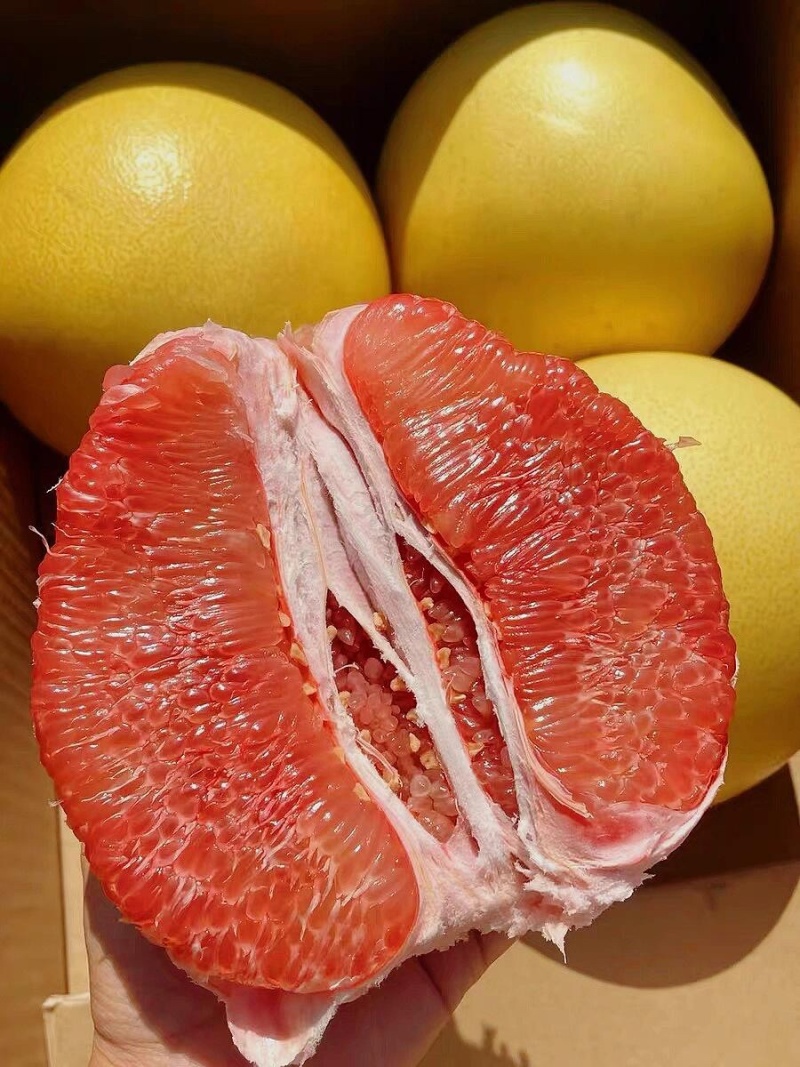 三红蜜柚