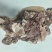 【熟牛肉】牛肉牛副屠宰厂直供保证新鲜，可视频看货