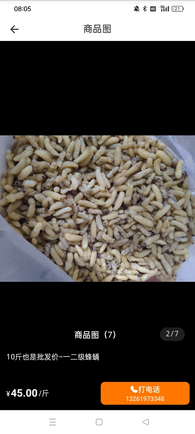野生土蜂蛹