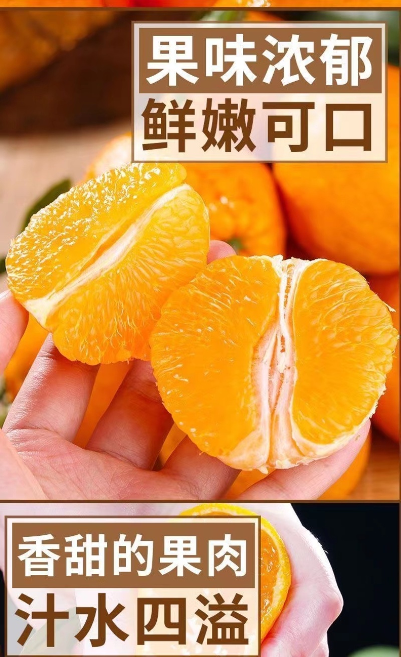不知火，丑八怪大量供应，一手货源对接电商，市场。