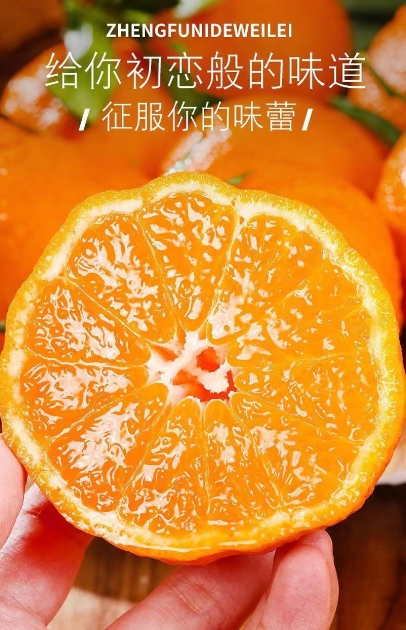 不知火，丑八怪大量供应，一手货源对接电商，市场。