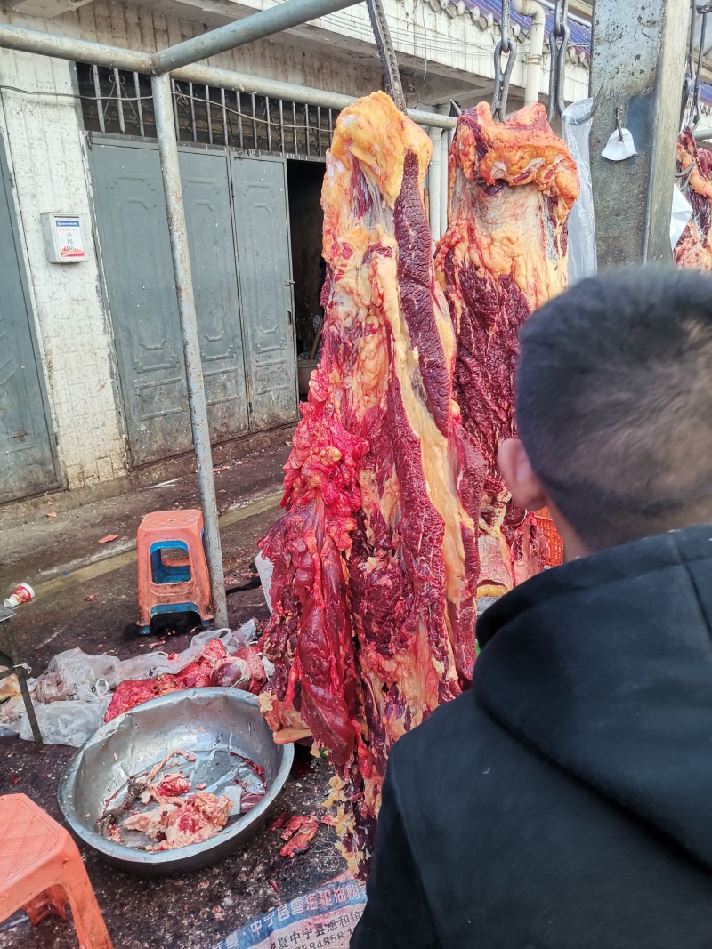 高原草膘牦牛肉