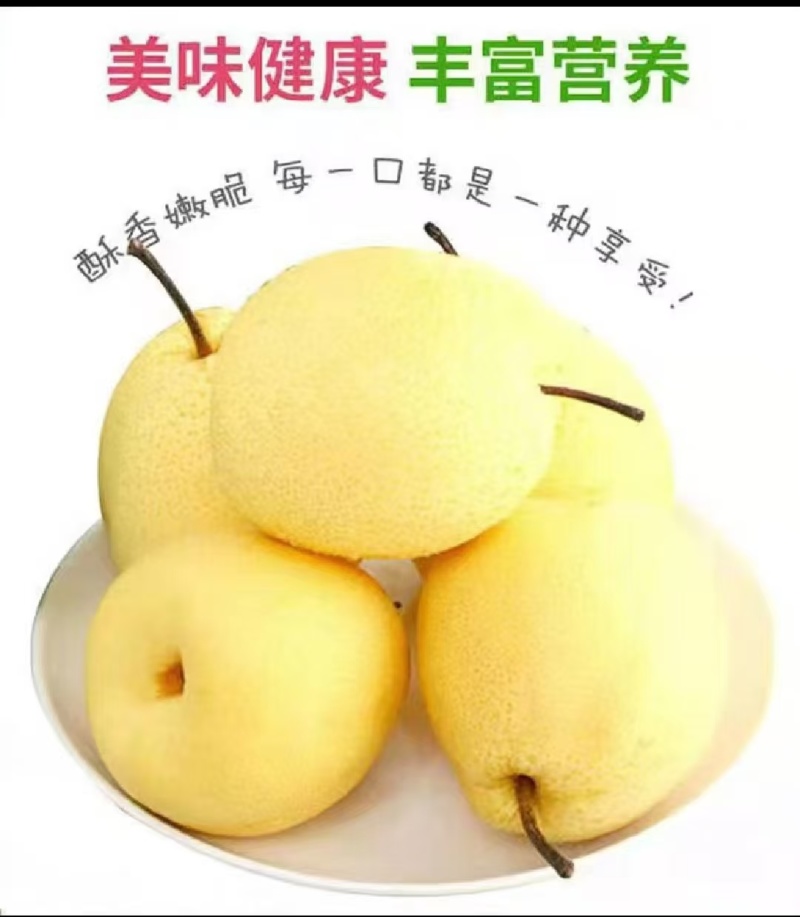 山西酥梨，大量现货供应，产地直发，一手货源，诚信合作。