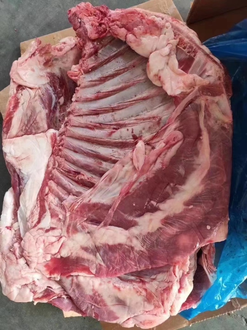 河北沧州羊副产品精品羊排厂家直发诚信经营保质保量代发