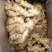 大黄姜3两以上带土
