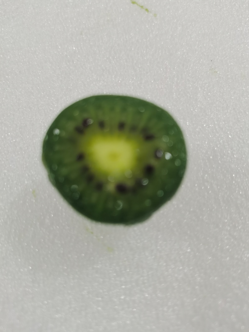 宝鸡虢王软枣猕猴桃中药有机肥种植甘甜爽口园主直发