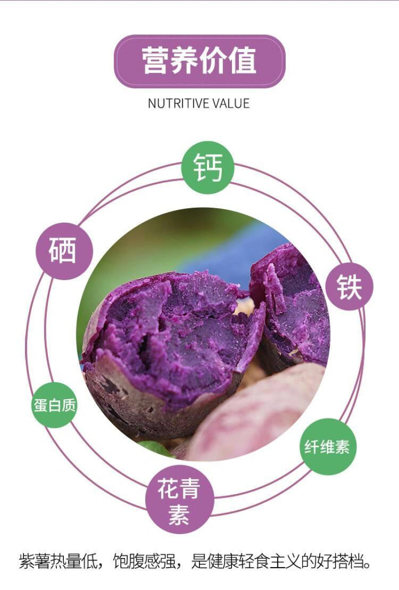 紫薯新鲜农家自种沙地紫薯9斤紫罗兰蜜薯糖心甜地瓜