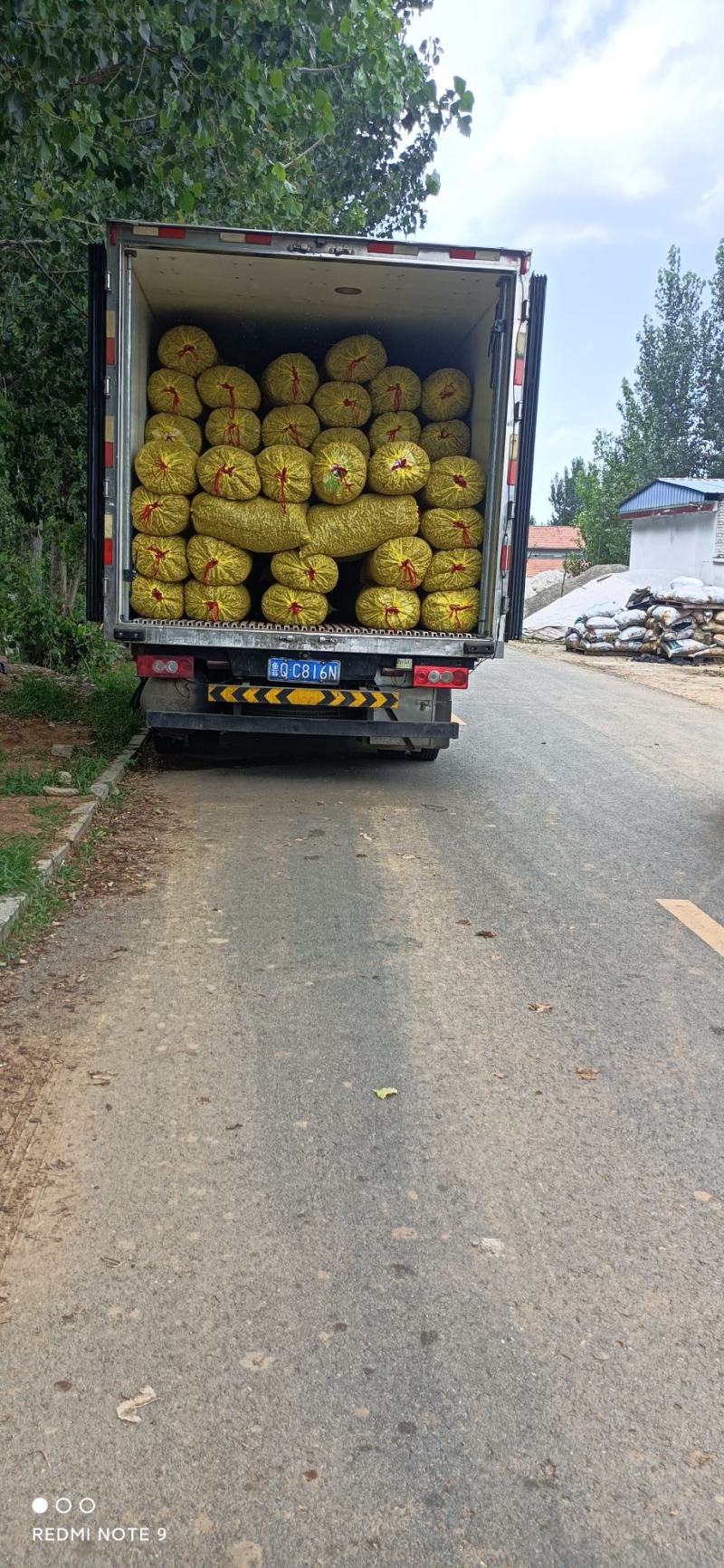 鲜花生大量上市价格便宜，许要的速度
