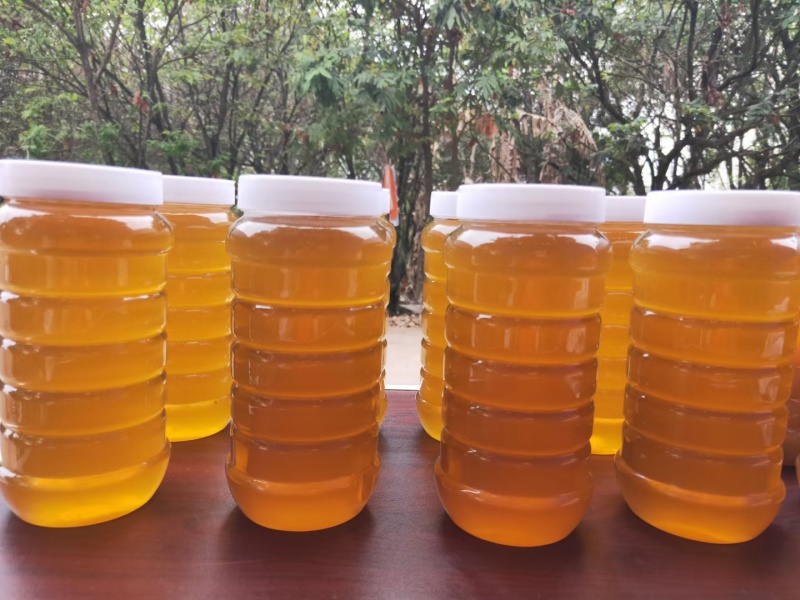 自家养的蜂蜜***