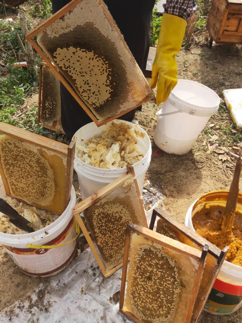 自家养的蜂蜜***