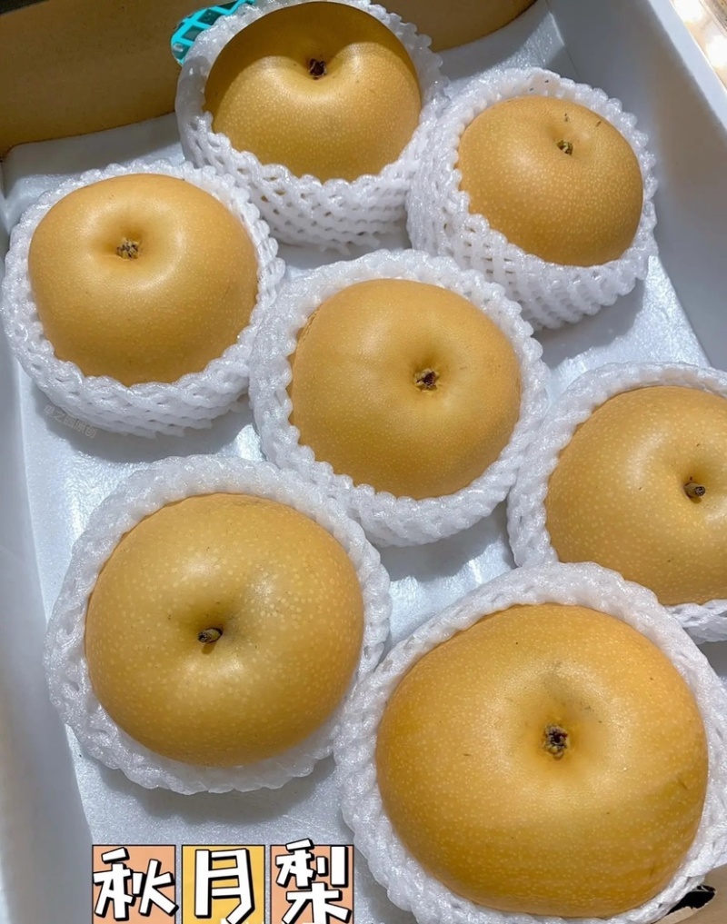 秋月梨，皮薄爆汁化渣，纯甜爽口
