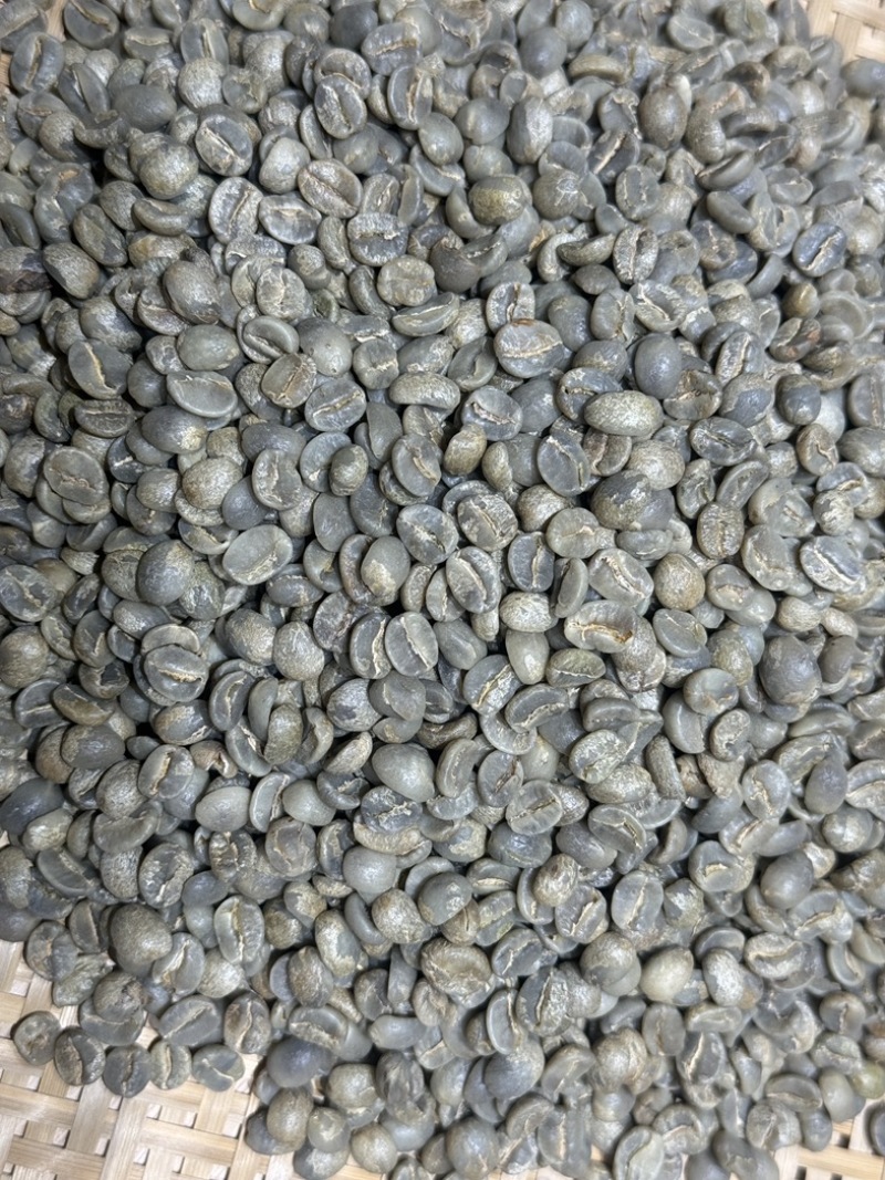 云南保山小粒咖啡17目双A