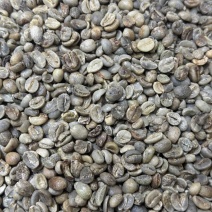 小粒咖啡豆生豆16目18目13目