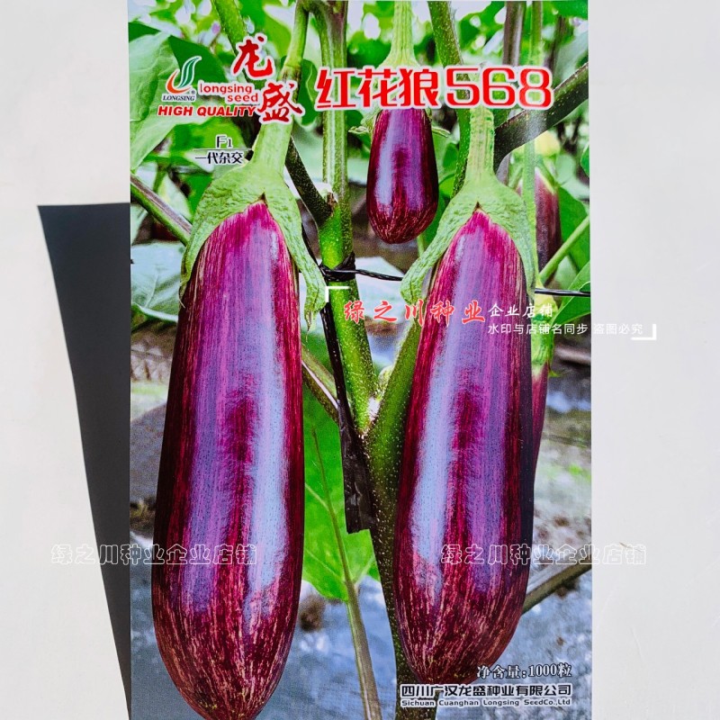 红花狼568茄子种籽长棒形花茄种子春夏秋三季竹丝茄种子