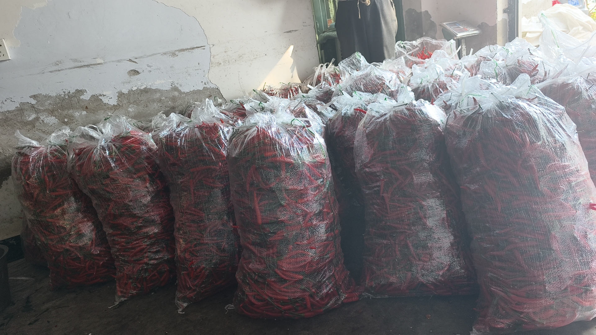 小米椒的保存方式