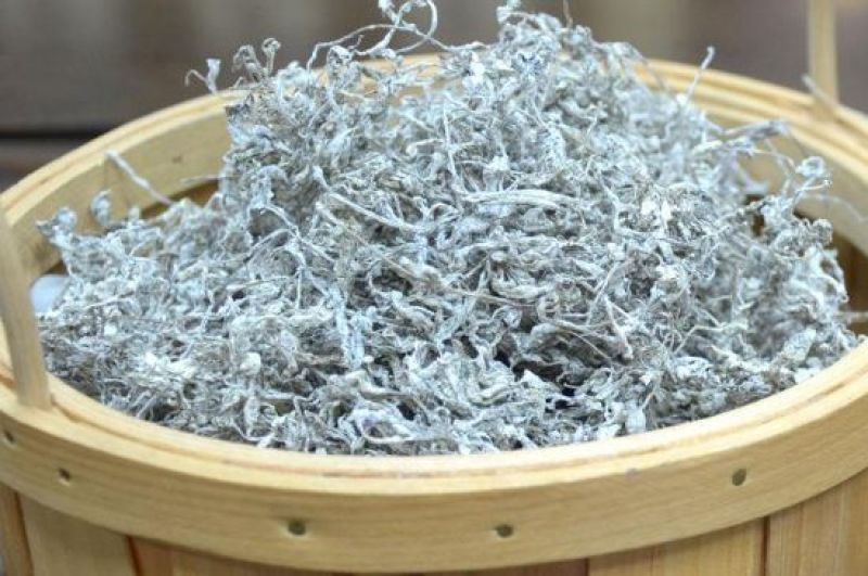 永顺莓茶一级龙须
