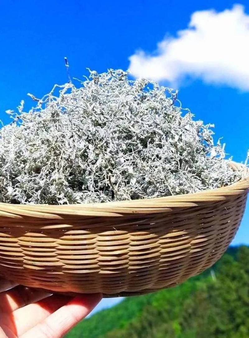 永顺莓茶一级龙须