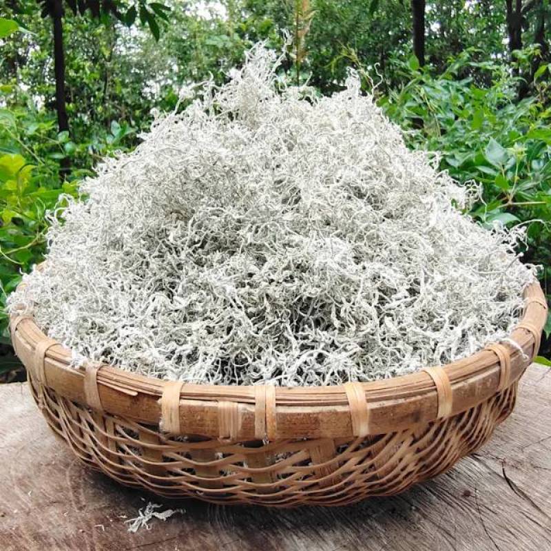 永顺莓茶一级龙须