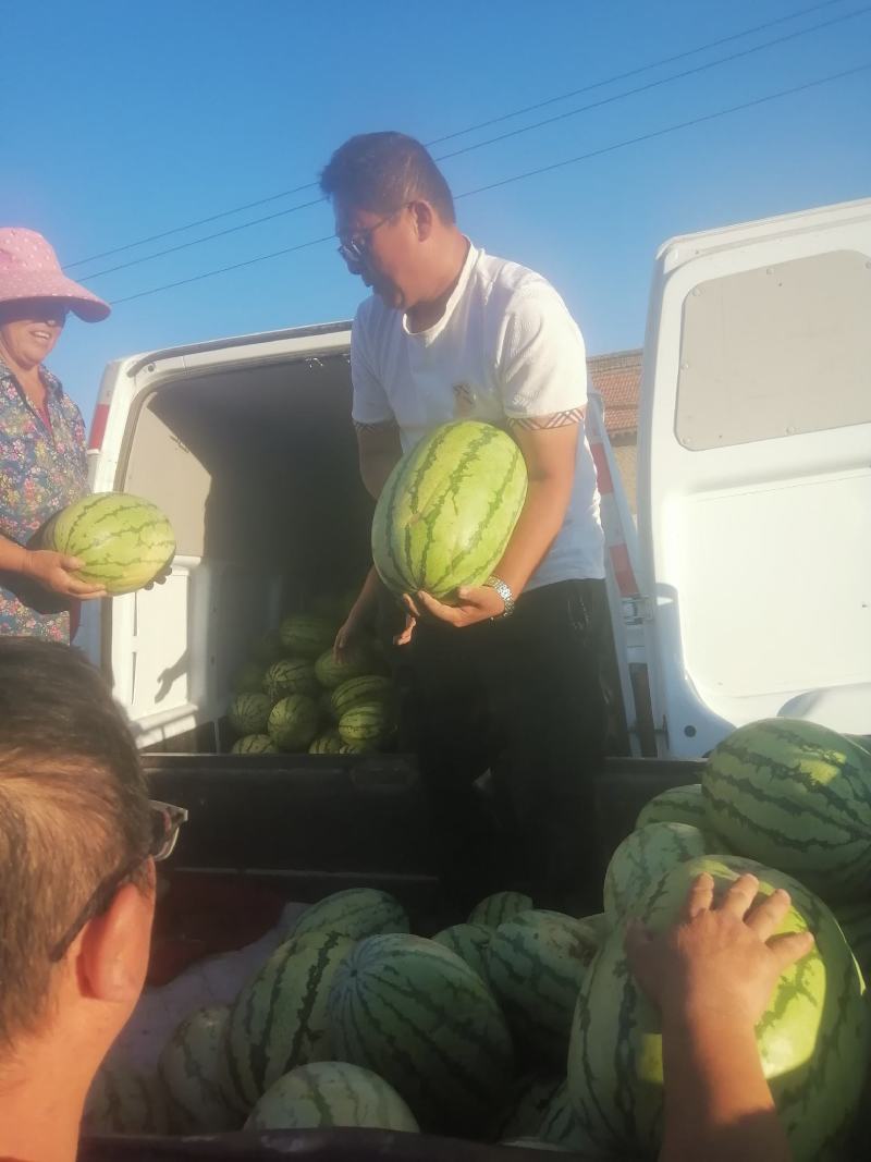 【推荐】山西西瓜双红金花沙漠硒砂瓜