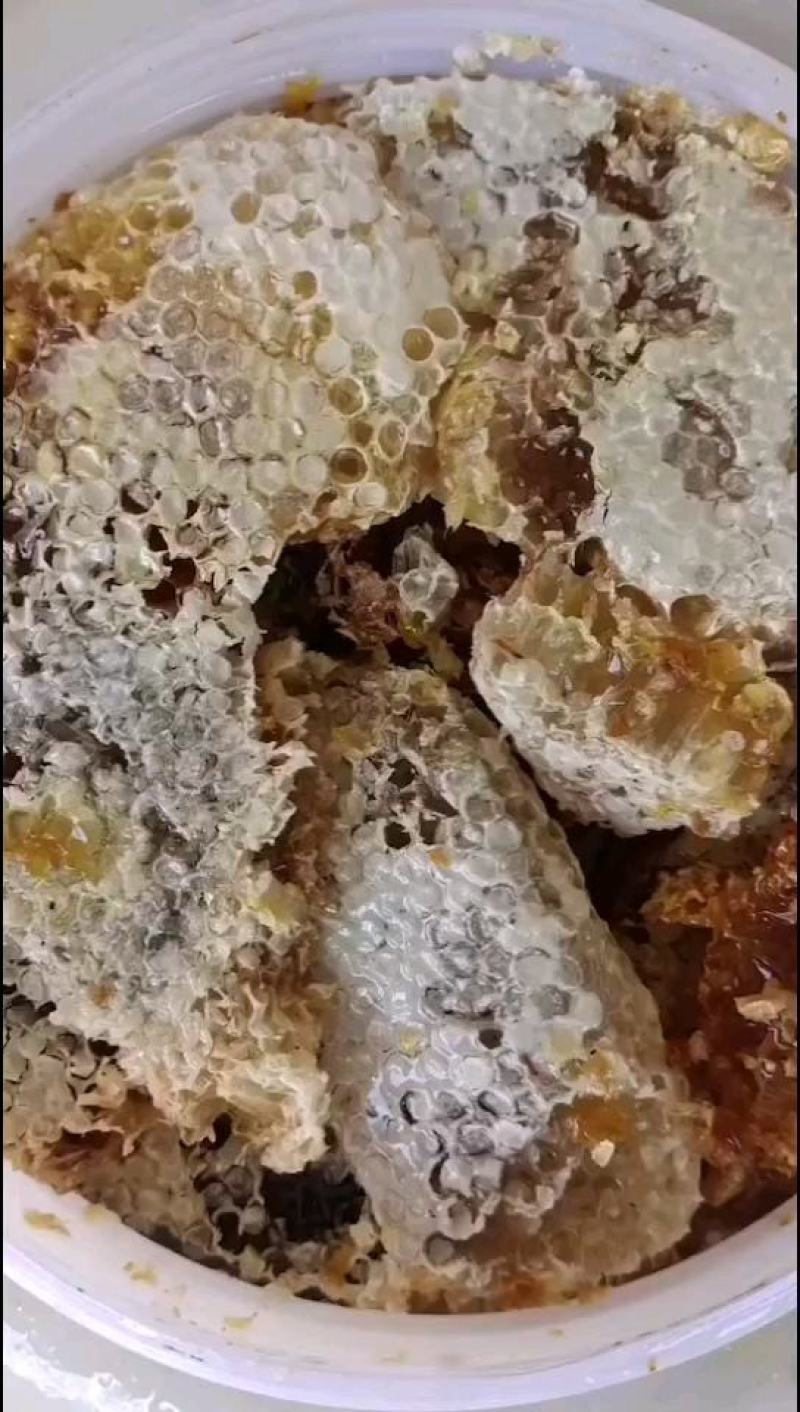 纯正野生蜂蜜山上自采冬季蜜货量不能保证