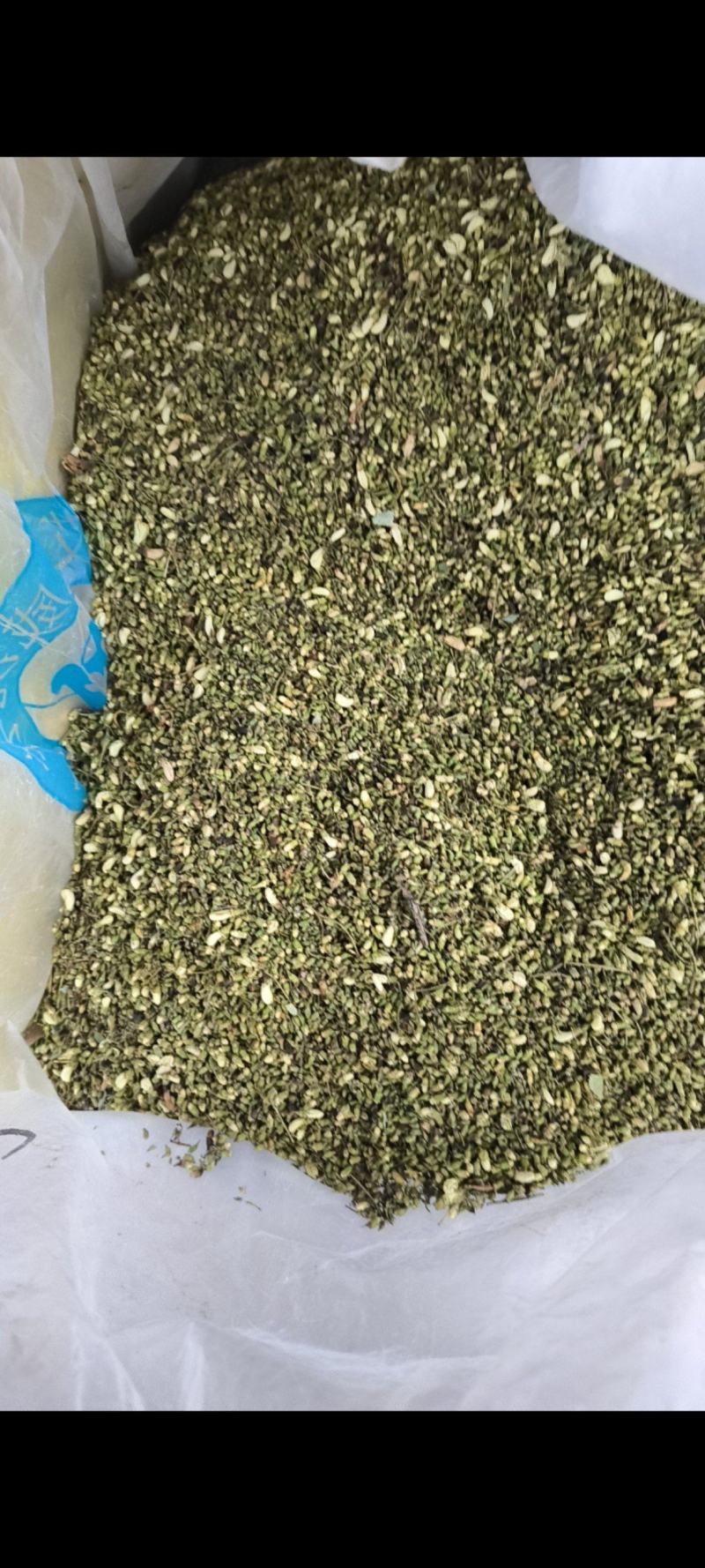 山东省平邑县的山槐米，槐花。