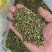 山东省平邑县的山槐米，槐花。