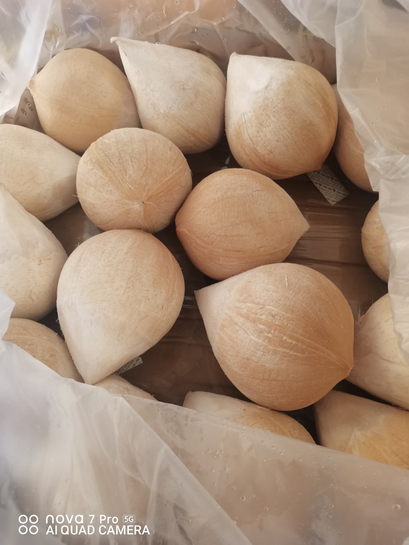 椰皇，量大从优