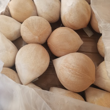 椰皇，量大从优