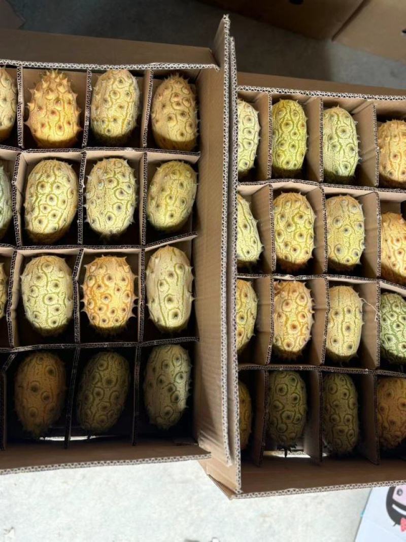 火参果精品大果，单果6两以上64个装刺角瓜海参果