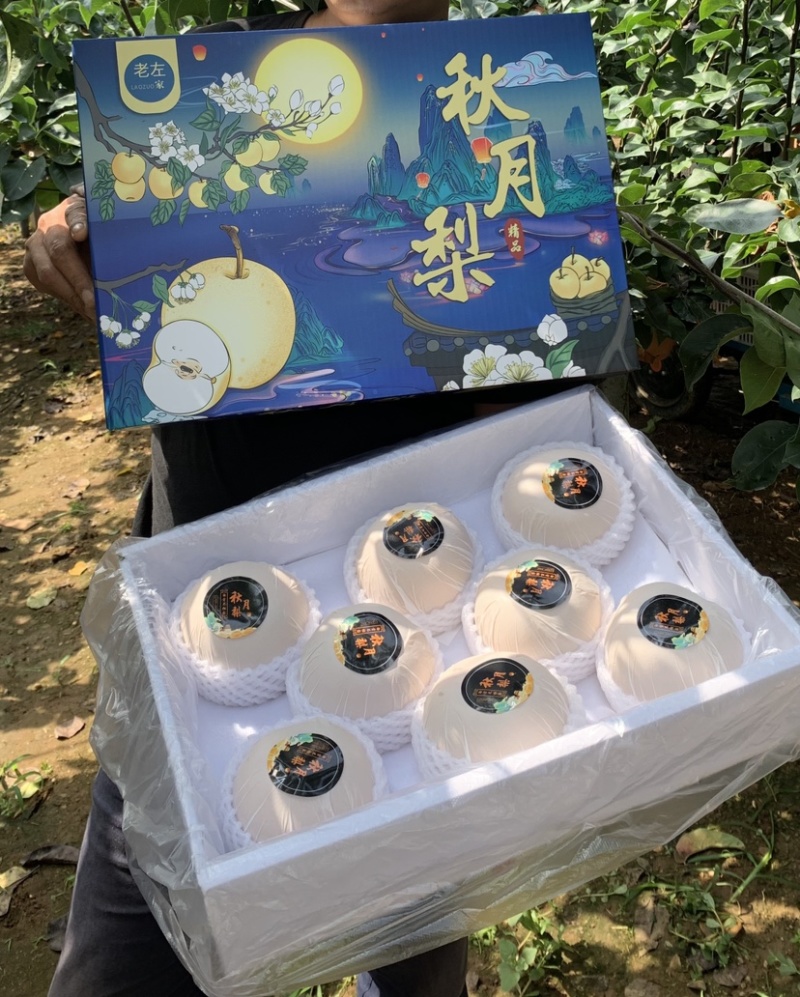 秋月梨礼盒正宗秋月梨送礼礼盒社区团购工厂福利