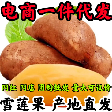 云南雪莲果低碳水果新鲜水果应季新鲜脆甜孕妇水果