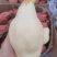 面甜好吃的大巴梨已熟有需要的老板联系我