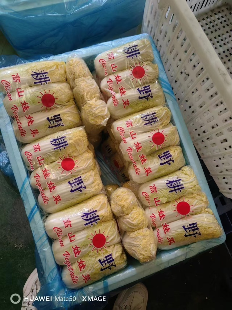 娃娃菜大小娃娃菜大量上市-产地直发-价格优惠