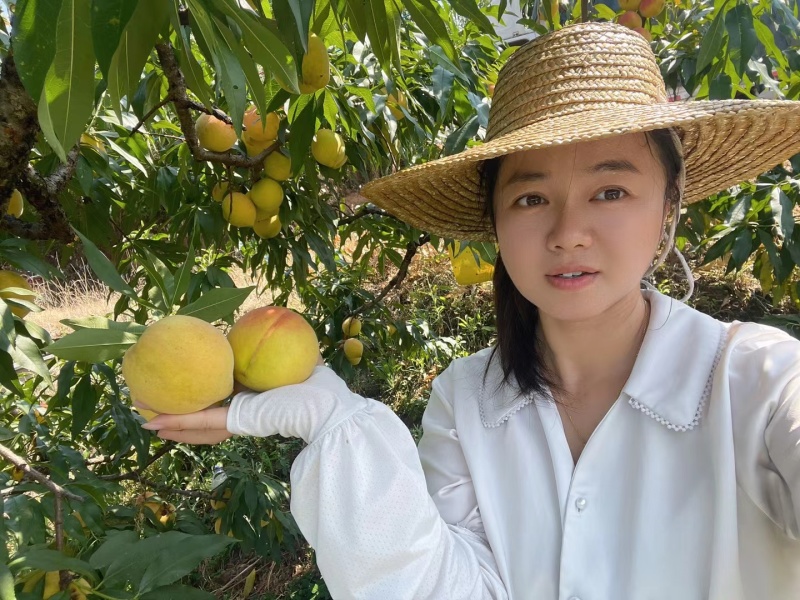 中国黄桃之乡炎陵黄桃阳光果