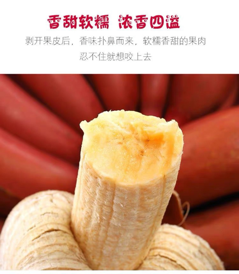 福建红美人香蕉现摘红皮香蕉新鲜水果甜糯孕妇水果整箱代发